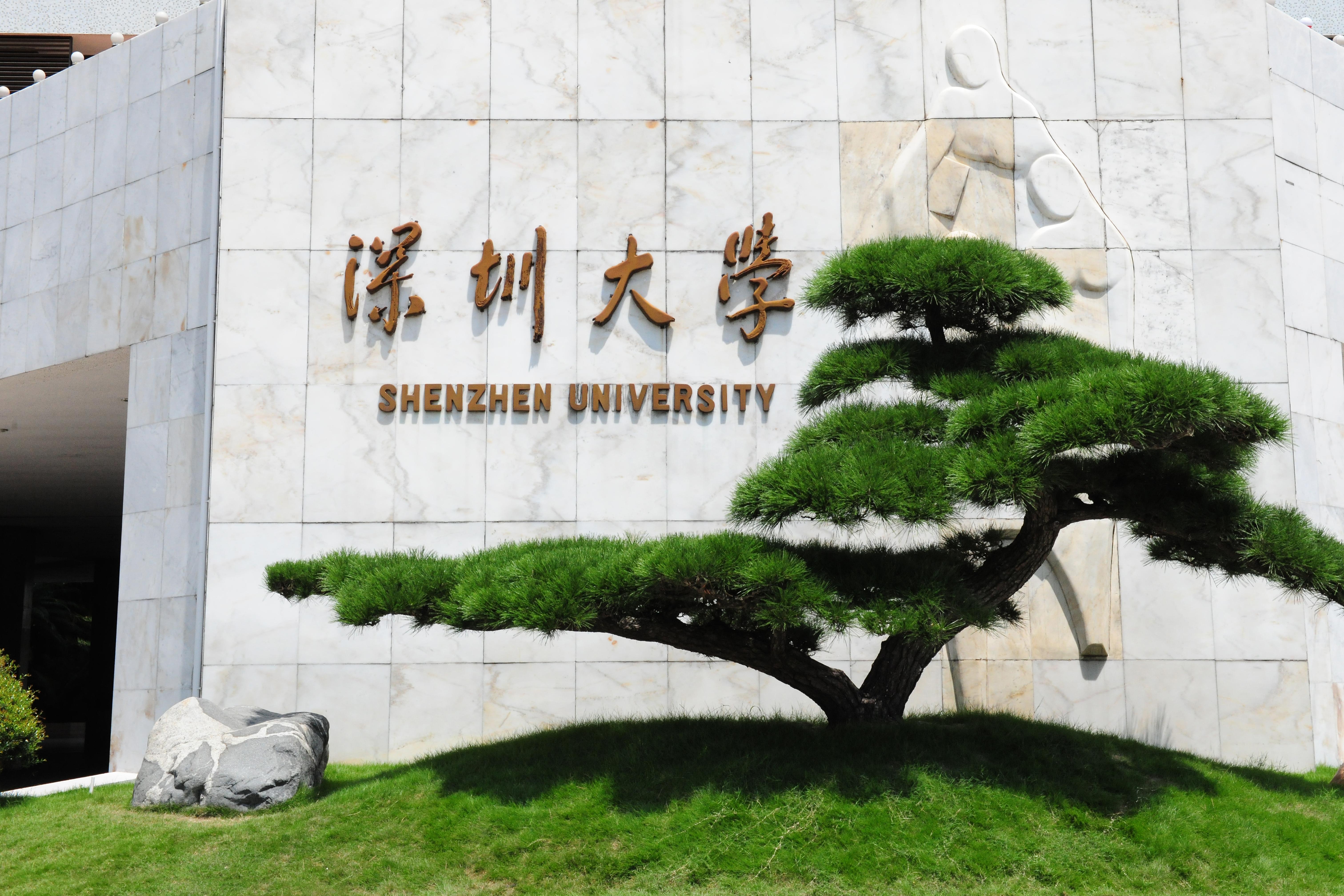 喜報:我校藝術學部榮獲深圳市傳統音樂文化教育女職工創新工作室示范點