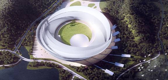 碗里的貓中度可信度描述已自動生成